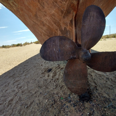 Muynak Day Trip from Nukus — Ship Cemetery & Aral Sea Story