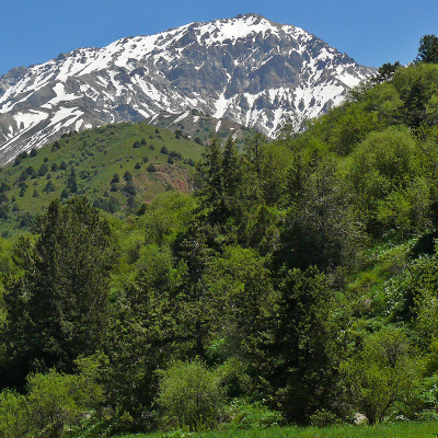 Tour to Uzbekistan from Saudi Arabia – Explore Now