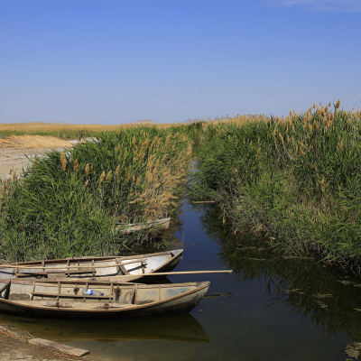 5-Day Aral Sea Tour: Ultimate Uzbekistan Adventure