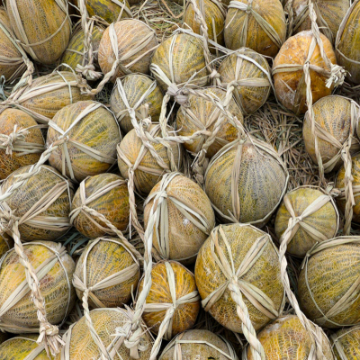 🌸 Fergana Valley Tour | Best Cultural & Guided Experience