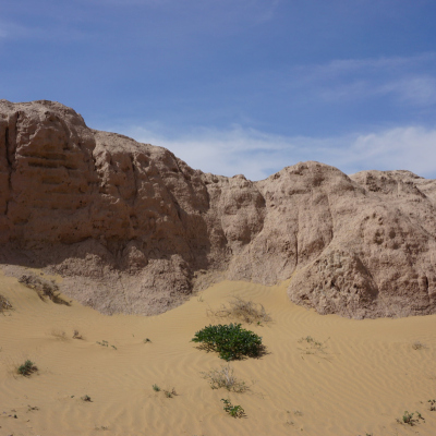 Nukus to Khiva Transfer via Ancient Fortresses | CAJ.UZ